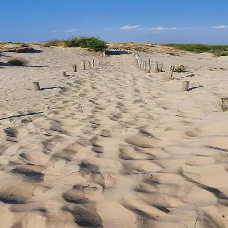 Lejlighed Nereiden A 176 With A View Of The Dunes
